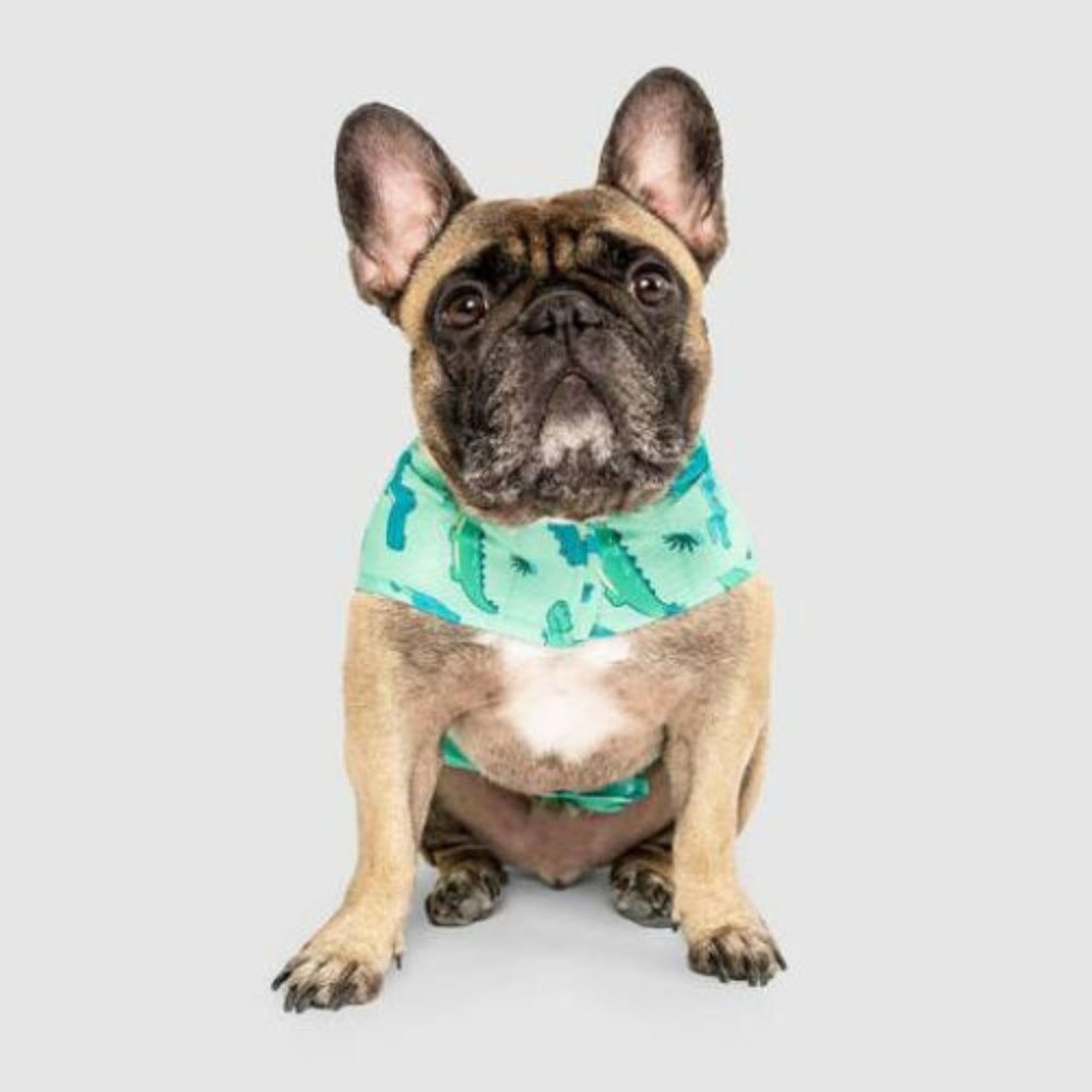 DOG PUPPY GREEN ALLIGATOR PONCHO RAINCOAT - Picture 3 of 4